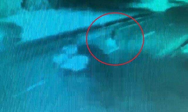 Otomobilin çarptığı yaya hayatını kaybetti