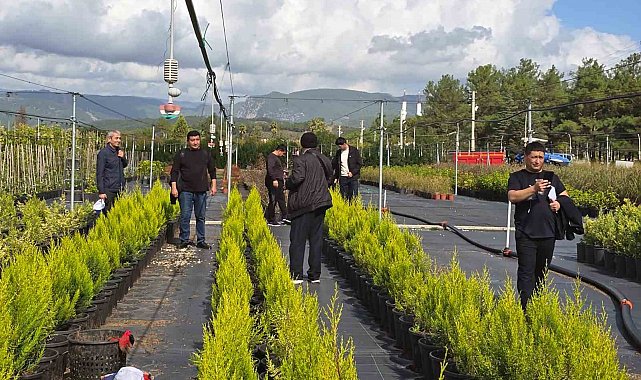 Özbek ormancılar Muğla'da incelemelerde bulundu
