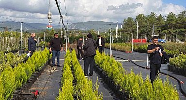Özbek ormancılar Muğla'da incelemelerde bulundu