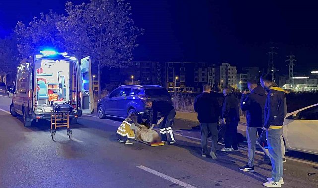 Park halindeki otomobile çarpan 15 yaşındaki motosikletli yaralandı