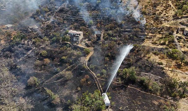 Patlıcan közlerken ormanı yakan şahıs yakalandı: 1 gözaltı