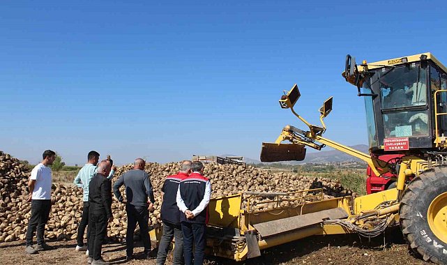 Pazar bölgesinde 450 bin tonluk pancar hasadı hedefleniyor