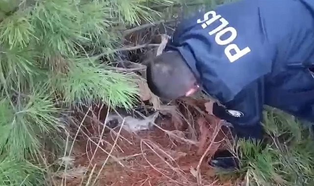 Polis kaçak avcılık tuzağı ele geçirdi