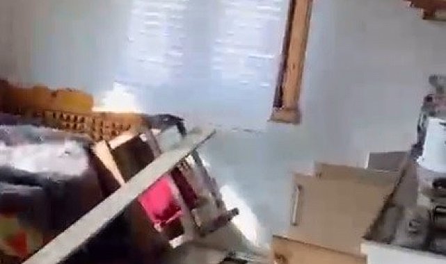 Rize yaylalarında ayı paniği: 20 ev talan edildi