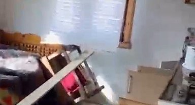 Rize yaylalarında ayı paniği: 20 ev talan edildi