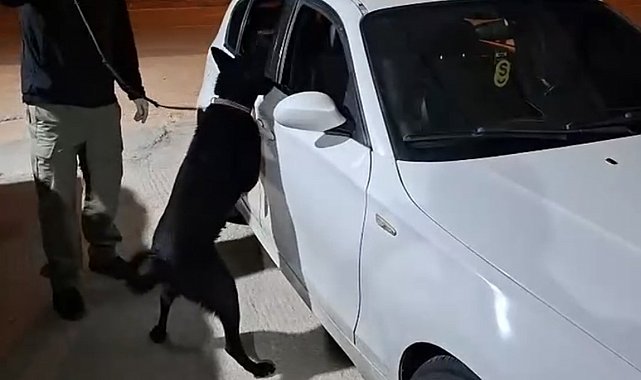 Samsun'da narkotik köpeği Çakır, yakıt deposuna gizlenen metamfetamini buldu