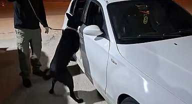 Samsun'da narkotik köpeği Çakır, yakıt deposuna gizlenen metamfetamini buldu