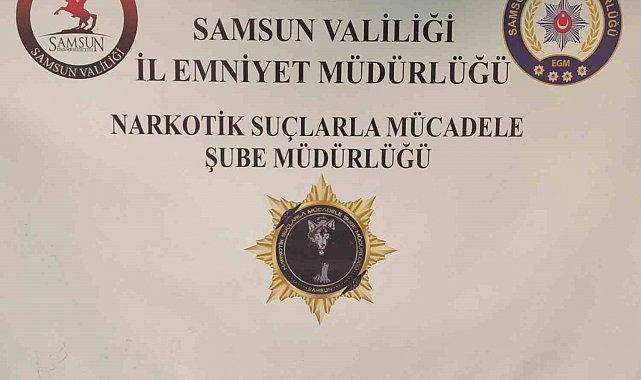 Samsun'da narkotik operasyonu: Silah ve uyuşturucu ele geçirildi