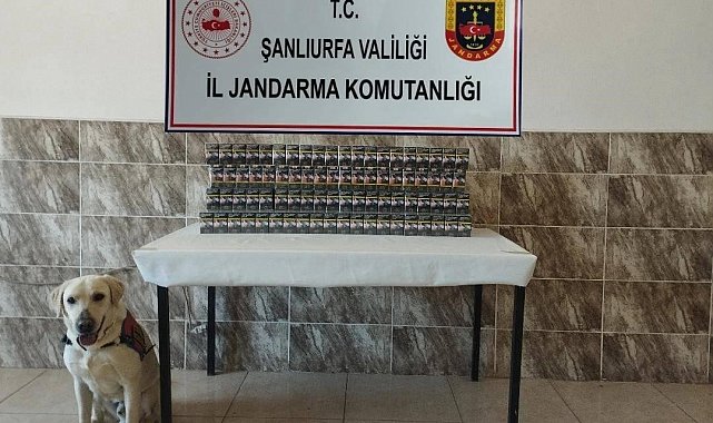 Şanlıurfa'da 7 bin 940 paket kaçak sigara ele geçirildi