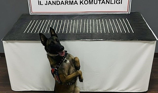 Şanlıurfa'da uyuşturucu operasyonu: 3 gözaltı