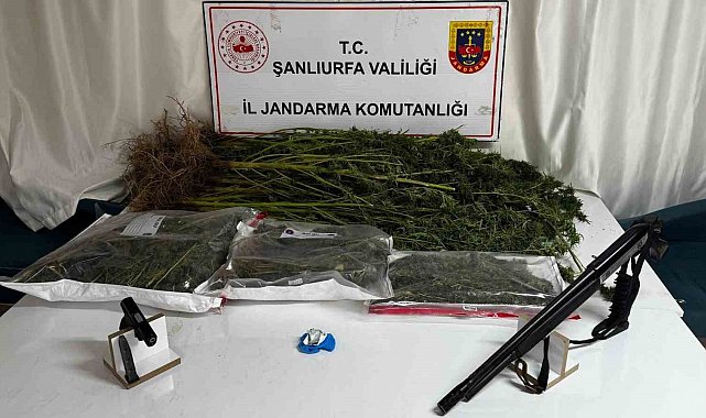 Şanlıurfa'da uyuşturucu operasyonunda 1 gözaltı