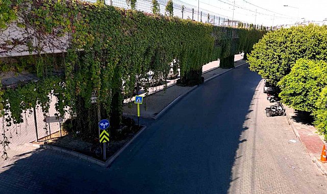 Sarmaşıklarla kaplı metro yolu, görsel şölen oluşturuyor
