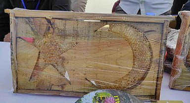 Sason'da 'ay yıldızlı' arı kovanları yoğun ilgi görüyor