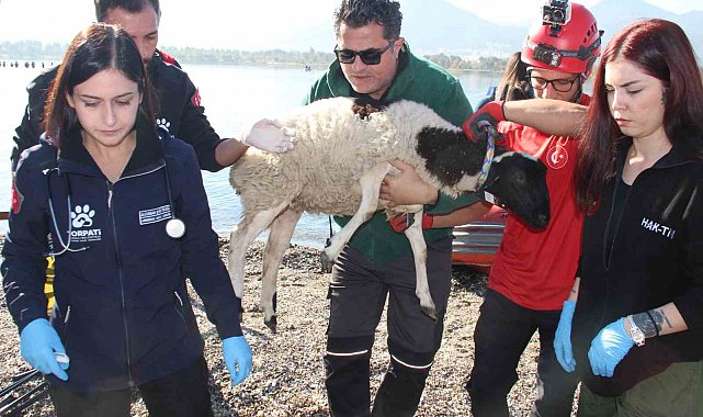 Sel felaketi riski taşıyan İzmir'de AFAD'dan tatbikat