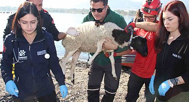 Sel felaketi riski taşıyan İzmir'de AFAD'dan tatbikat