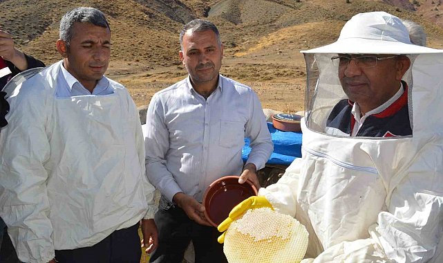 Siirt İl Tarım Müdürü Şanverdi: "Terörsüz Türkiye kapsamında dağlarımızda açacağımız yollar, bal üretimine büyük katkı sağlayacak"