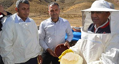 Siirt İl Tarım Müdürü Şanverdi: "Terörsüz Türkiye kapsamında dağlarımızda açacağımız yollar, bal üretimine büyük katkı sağlayacak"