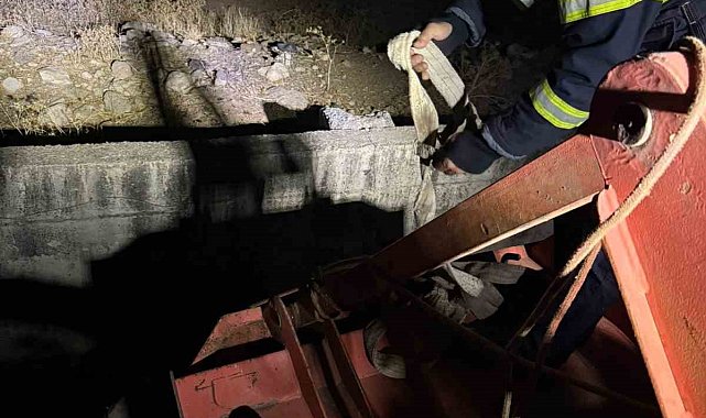 Siirt'te kanala düşen inek kurtarıldı