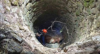Siirt'te su kuyusuna düşen ineği ekipler kurtardı