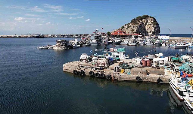 Şile'de bu yıl palamut avı beklenenin çok altında kaldı