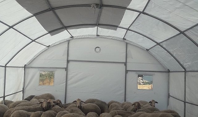 Sındırgı'da depremden etkilenen üreticilere geçici hayvan barınma çadırı desteği