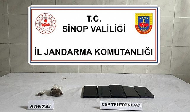 Sinop'ta bonzai ele geçirildi: 1 kişi tutuklandı