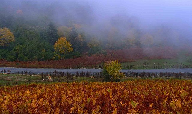 Sisler içindeki vadinin kalbinde doğa yürüyüşü