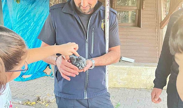 Sivas'ta boruya sıkışan kuşu itfaiye kurtardı