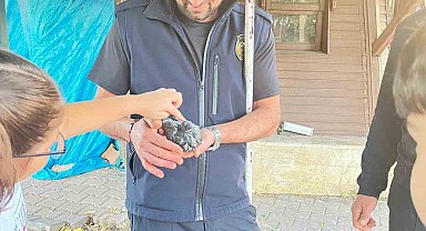 Sivas'ta boruya sıkışan kuşu itfaiye kurtardı