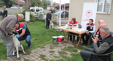 Son tarih 31 Aralık 2025