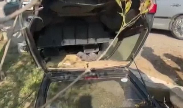 Takla atan otomobil ters durdu