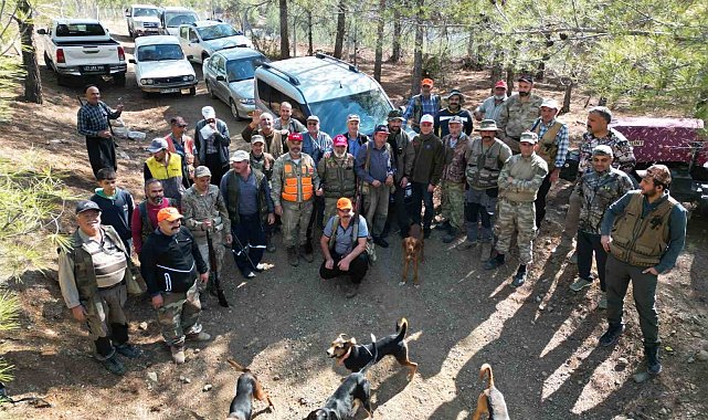 Tarım arazilerine zarar veren yaban domuzları için sürek avı