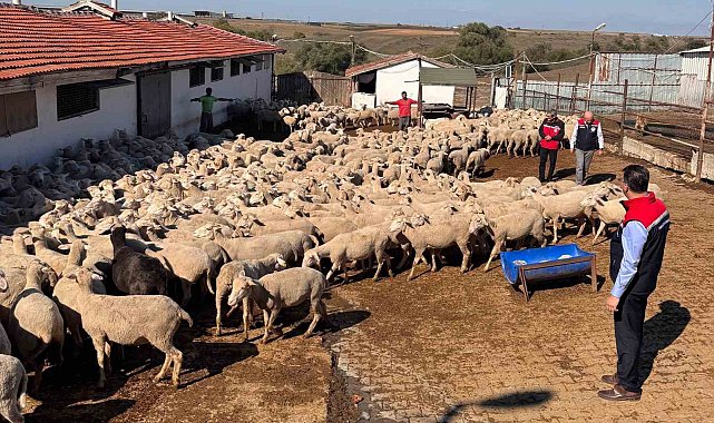 Tarım İl Müdürü Aksoy üreticinin sorunlarını yerinde dinledi