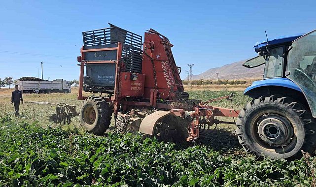 Tarımın kalbi Adilcevaz'da pancar sökümüne başlandı