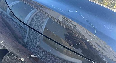 Tekirdağ'da gökyüzünden örümcek ağı yağdı
