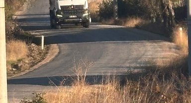 Tekören yolunda uzayan ağaç dalları sürücülere zorluk yaşatıyor