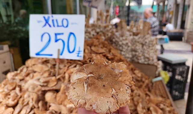 Tezgahlarda tirmit bolluğu: Fiyatı düştü