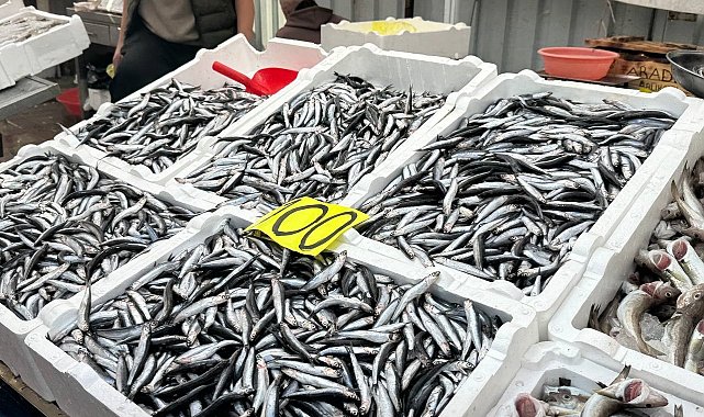 Tezgahta 100 liraya düşen hamsi yoğun ilgi gördü