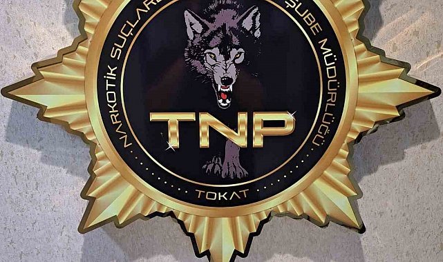 Tokat'ta uyuşturucu operasyonu, 500 içimlik bonzai ele geçirildi