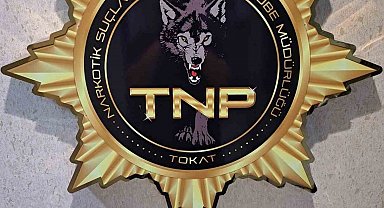 Tokat'ta uyuşturucu operasyonu, 500 içimlik bonzai ele geçirildi