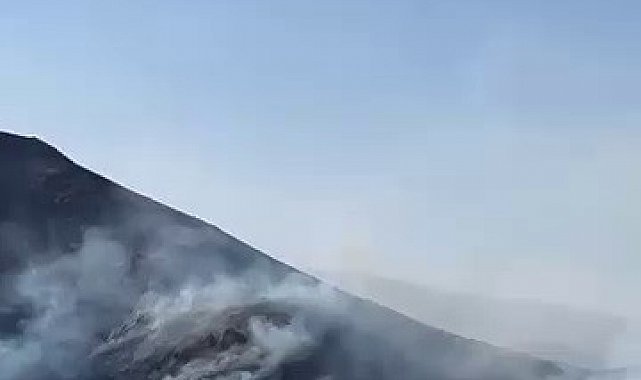 Tortum'da örtü yangını güçlükle kontrol altına alındı