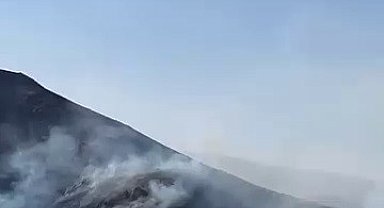Tortum'da örtü yangını güçlükle kontrol altına alındı