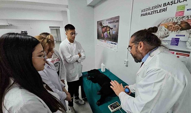 Türkiye'de bir ilk: Meslek yüksekokulunda veteriner sağlık eğitimi simülatörlerle veriliyor