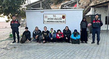 Türkiye'ye yasadışı yollarla giriş yapan 8 düzensiz göçmen yakalandı