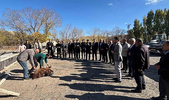 Tutak'ta hayvan pazarı yapılıyor