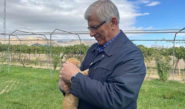 TVHB Genel Başkanı Eroğlu: "Hayvanlara verilen zarar, onlara yapılan işkence insanlık dışı şeylerdir"