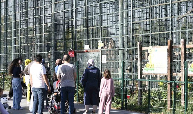 Ücretsiz olan hayvanat bahçesine ziyaretçi akını