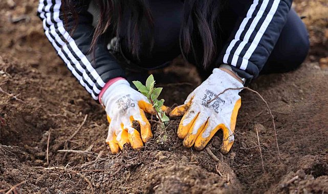 Uludağ Elektrik'ten doğa dostu çözüm