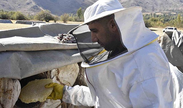 Uluslararası ödüllü Bitlis karakovan balında hasat zamanı