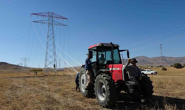 Van'da 31 kilometrelik enerji hattı tamamlandı: Çalışmalarda yabani kuşlar gözetildi